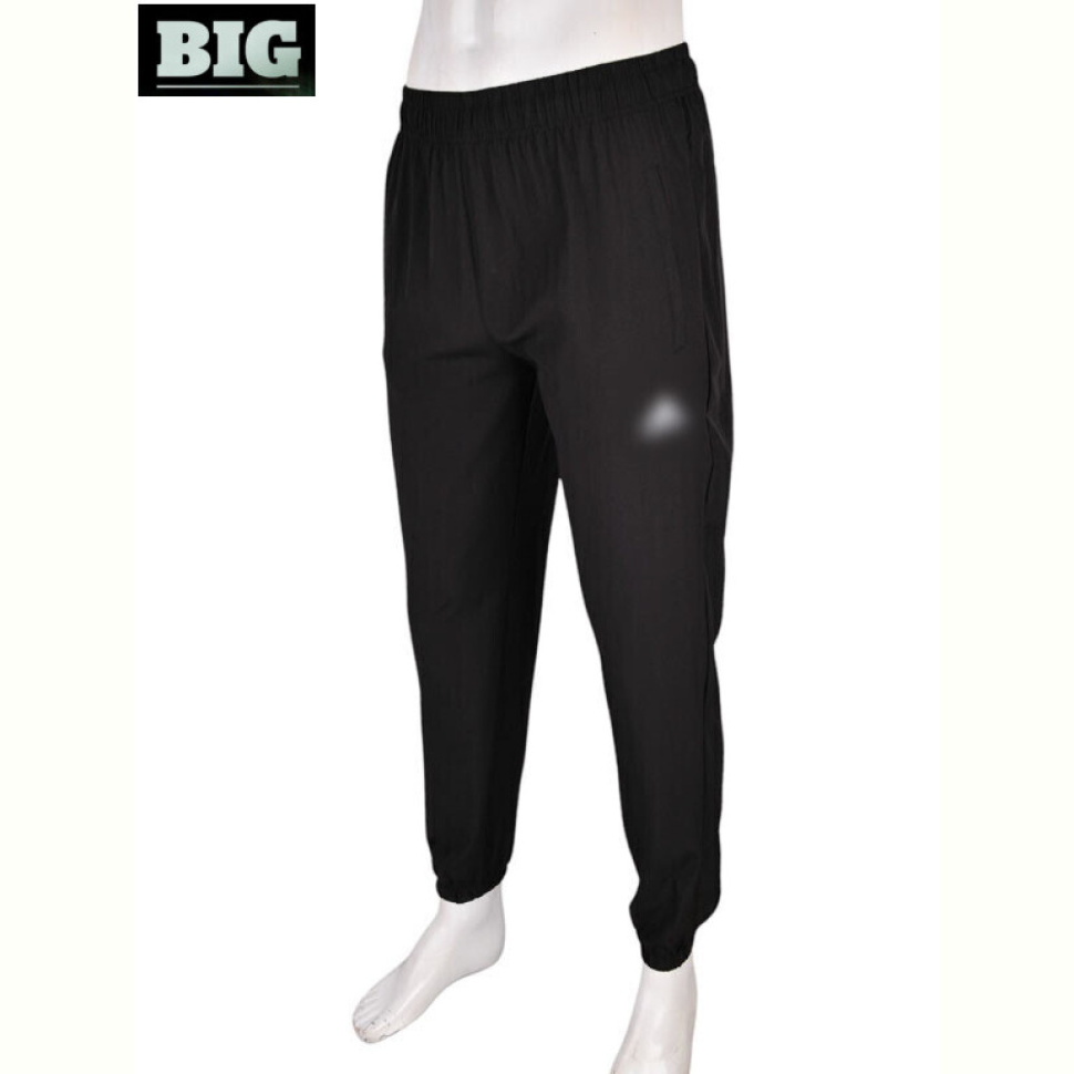 Спортивные брюки BIG 4033-A01-1 black