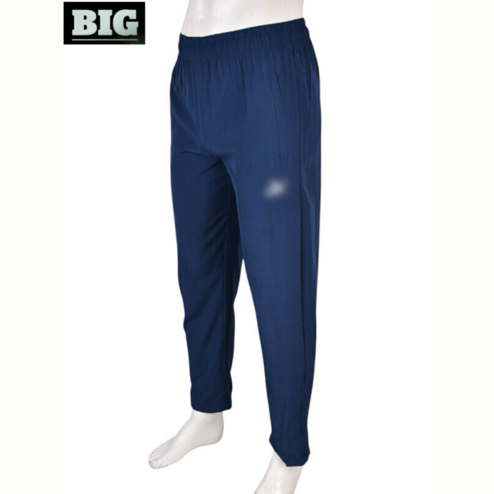 Спортивные брюки BIG 4033-A06-2 navy