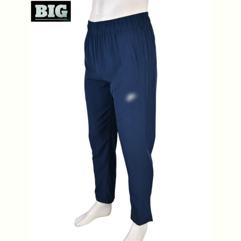 Спортивные брюки BIG 4033-A12-2 navy