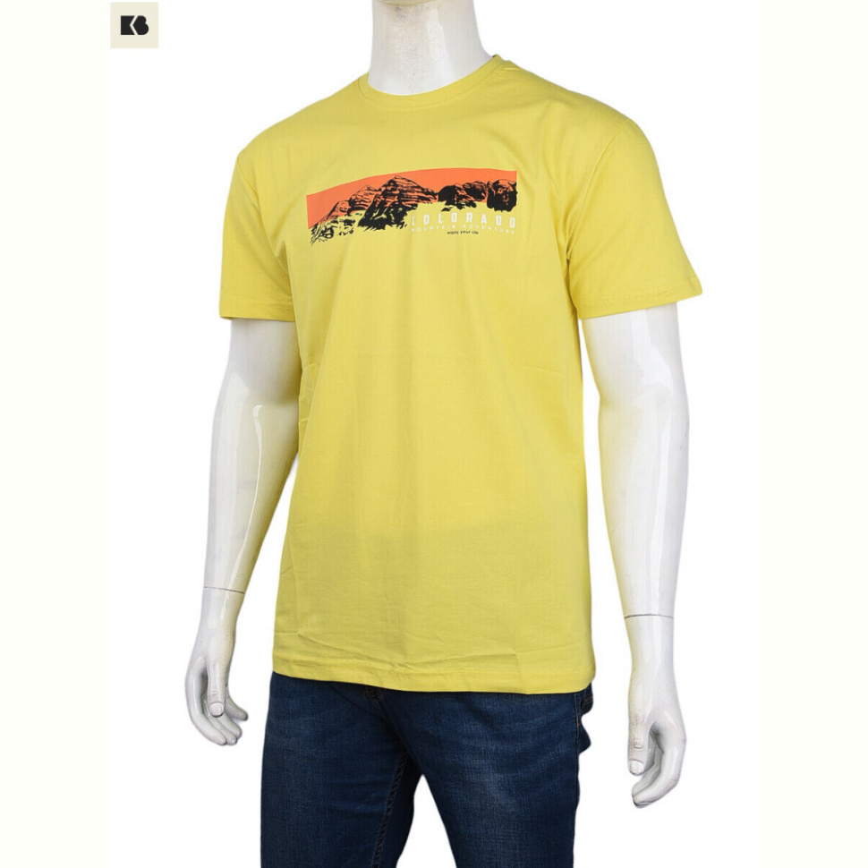 Футболка BIG 3707-82-1 yellow