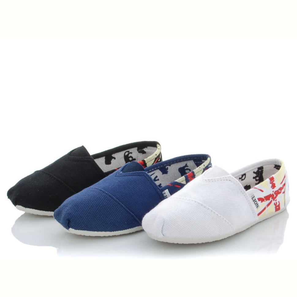 Слипоны Lion 251-33 mix