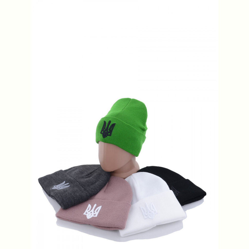 Шапка STARK Шапка з вишивкою тризуб на флісі B001 mix