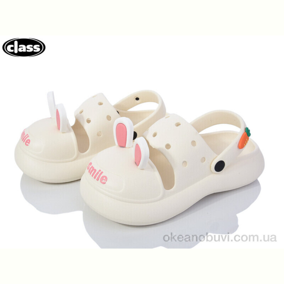 Кроксы Wei Wei-Class E03-1 Кроксы Wei Wei-Class E03-1